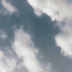 Meet your Posher, Lindsay